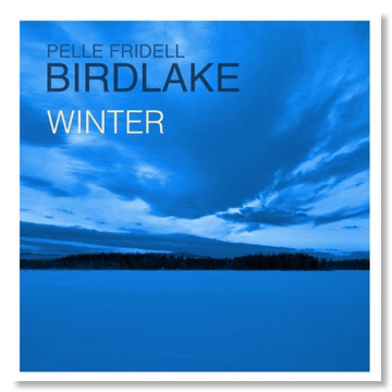 Birdlake - Winter small